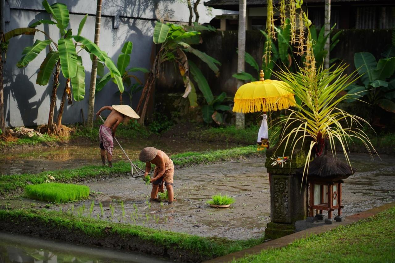 Villa Umae Ubud (Bali)